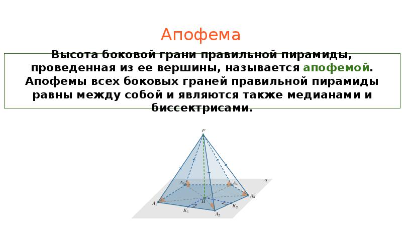 Ооо апофема проект