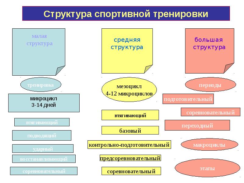 Схема компонентов системы спортивной подготовки