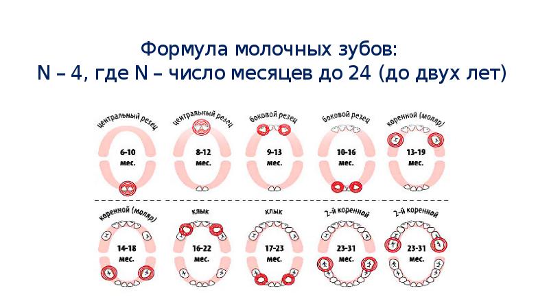 Формула молочной