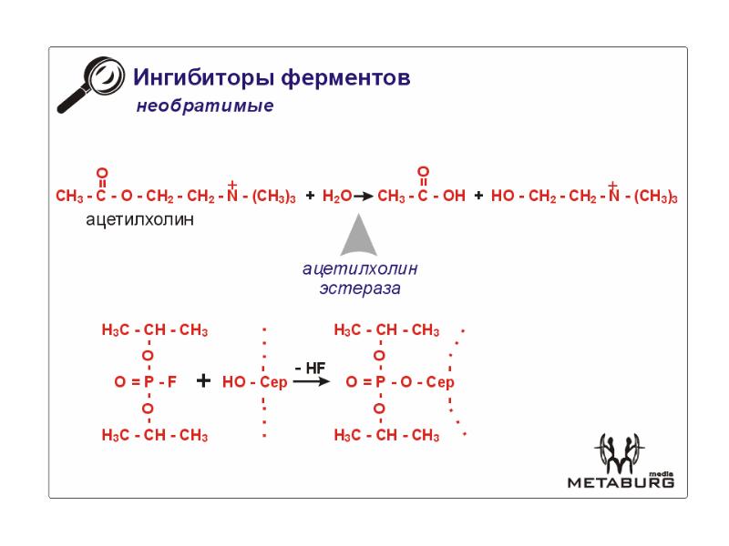 Ферментативные реакции. Схема ферментативной реакции. Механизм односубстратной ферментативной реакции. Ферментативные реакции это в химии. Ферментативные реакции примеры.