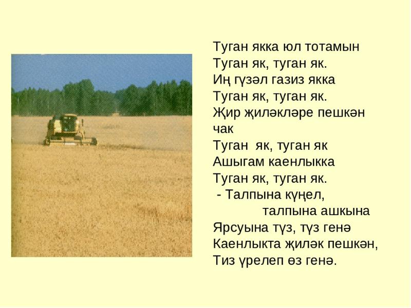 Проект туган авыл