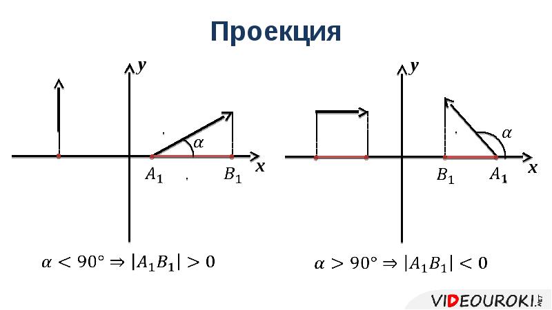 Проекция 7 класс