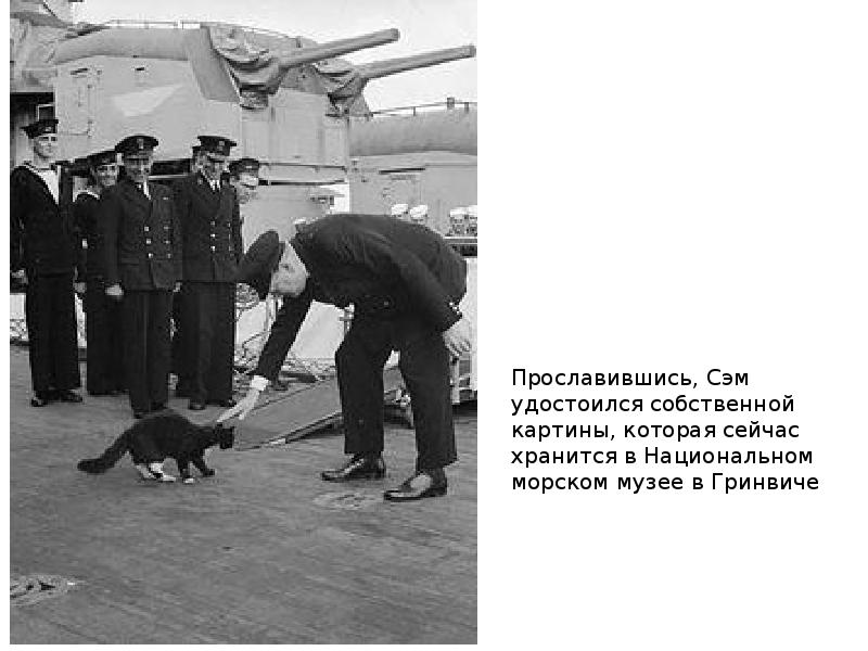 непотопляемый сэм кот. непотопляемый сэм кот. непотопляемый сэм кот. кот оскар непотопляемый.