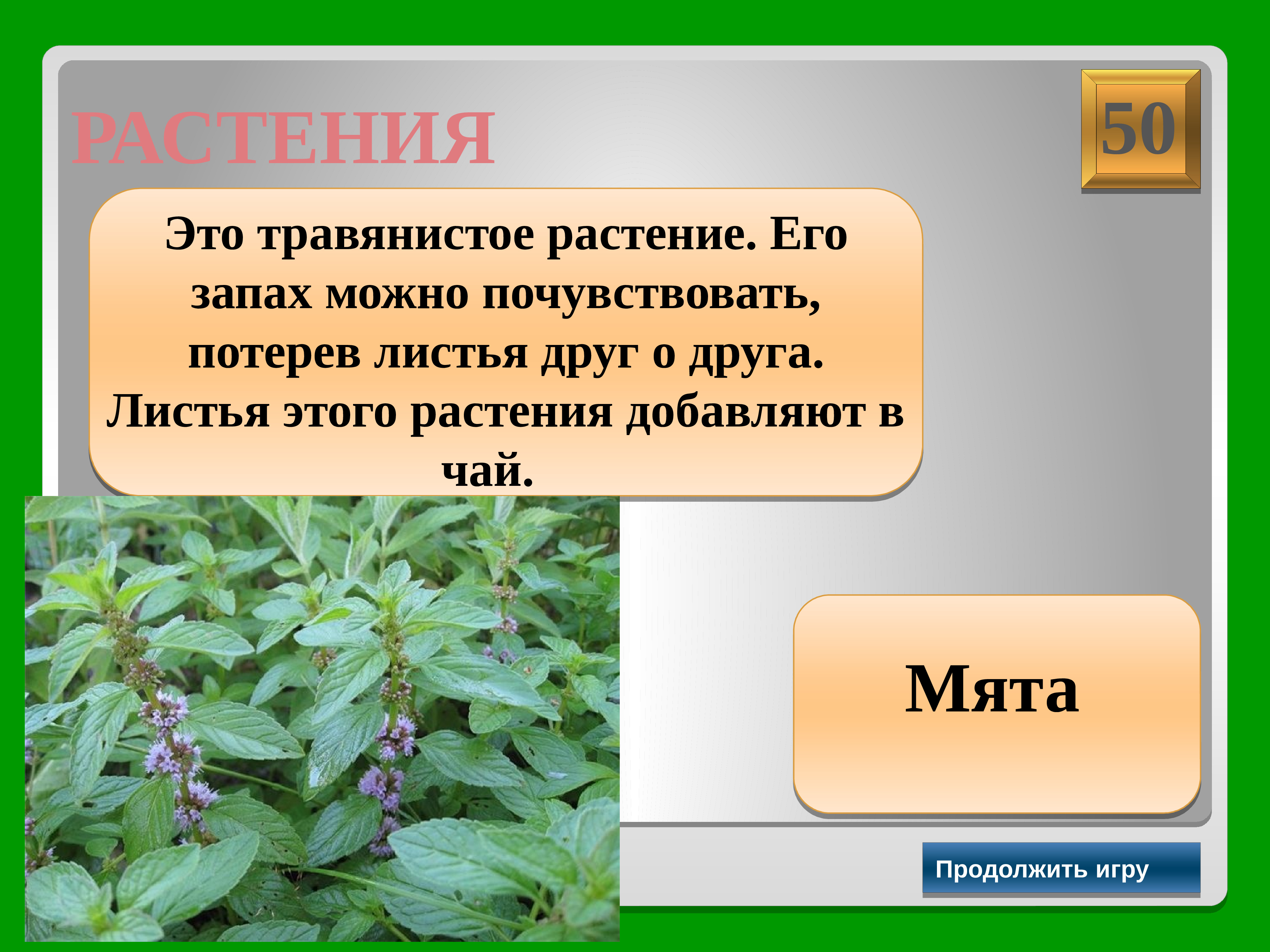 Листьев друзья. Игра мята. Цветок потрёшь лист и пахнет. Что из этого травянистое растение. Луб это травянистые растения.