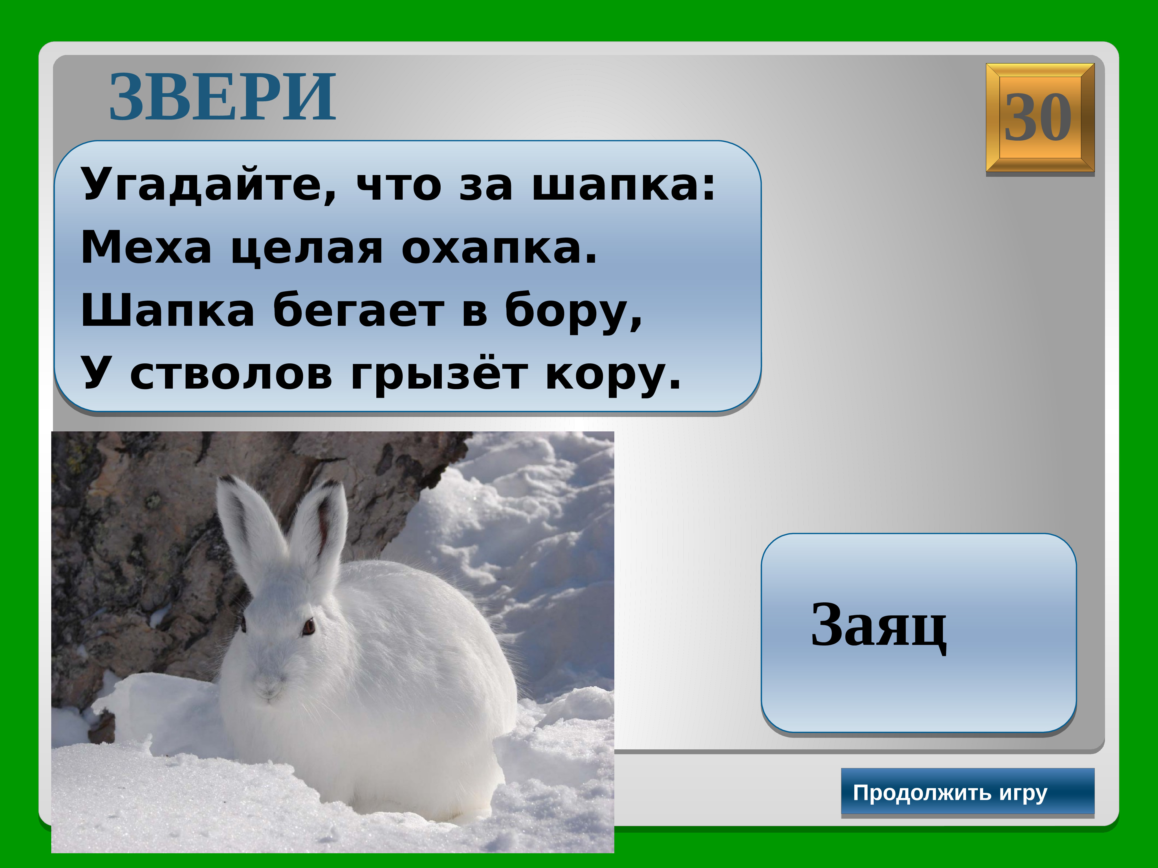 Продолжить зайчик. Где живет заяц картинки для детей. Отгадай животное. Заяц грызет кору. Заяц грызет кору деревьев.