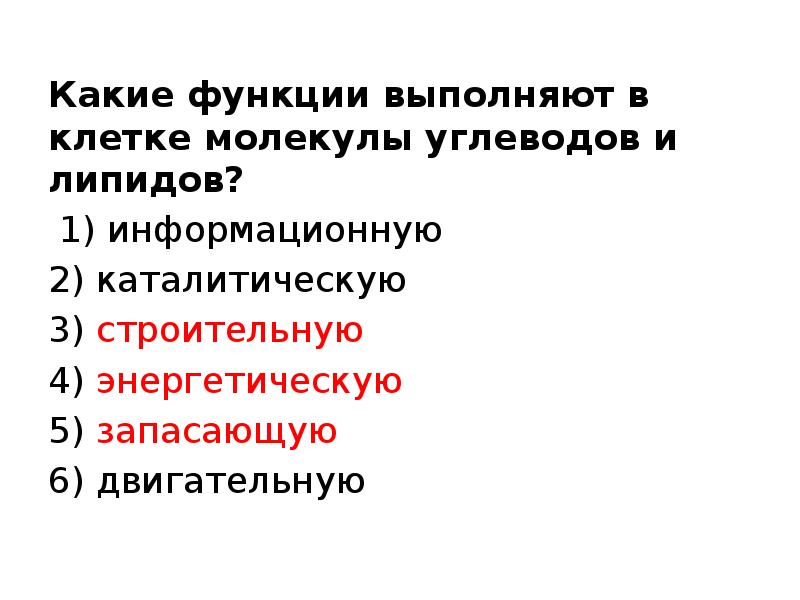 Какие функции выполняют молекулы углеводов и липидов. Какие функции выполняют молекулы углеводов и липидов