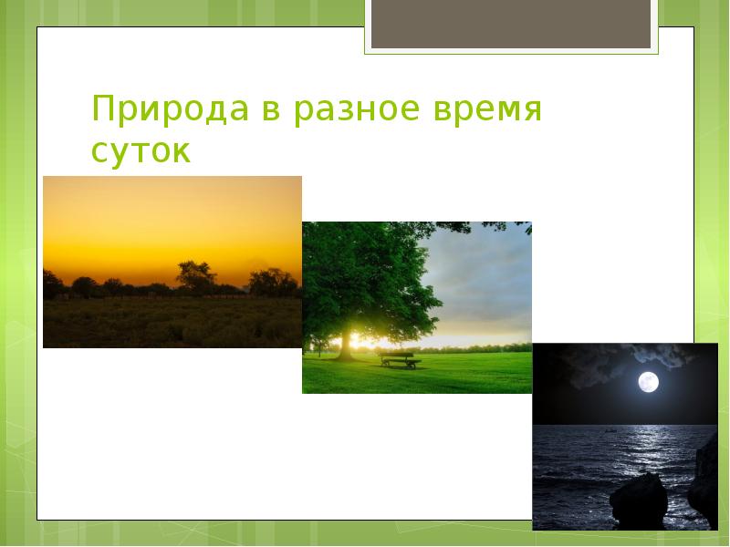 Природа в разное время суток Природа в разное время суток