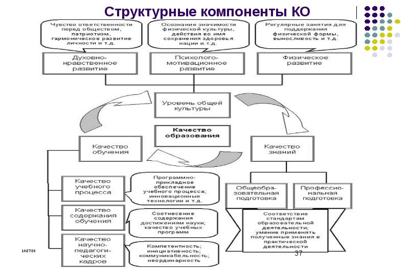 Структурные компоненты проекта