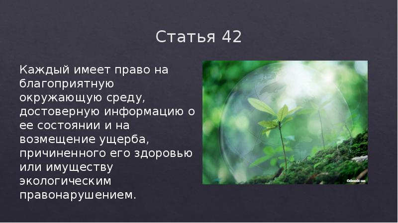 Составьте рассказ о реализации права на благоприятную окружающую среду используя следующий план впр