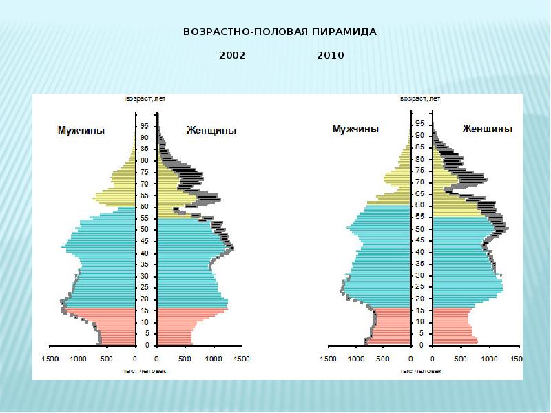 Полово возрастная пирамида