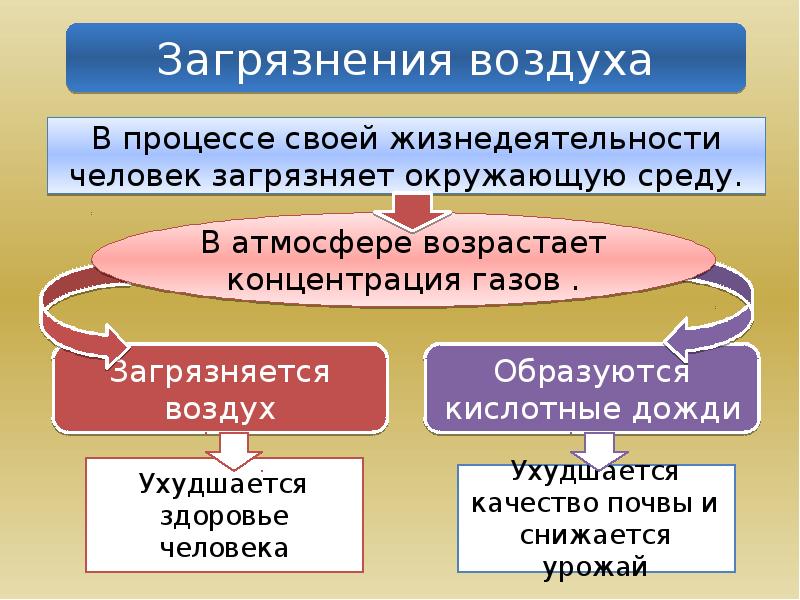 Последствия хозяйственной деятельности человека для окружающей среды презентация 11 класс