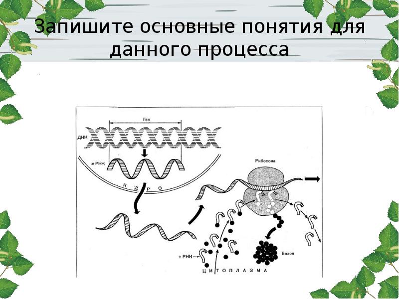 Блок 9 класс презентация