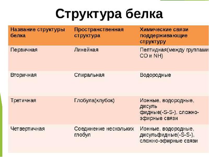 Презентация структура белков