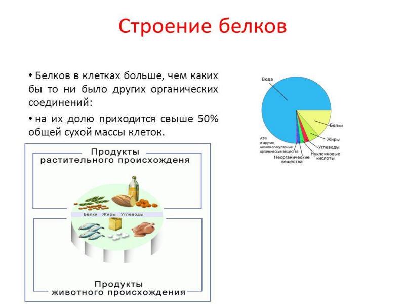 Свойства белков презентация