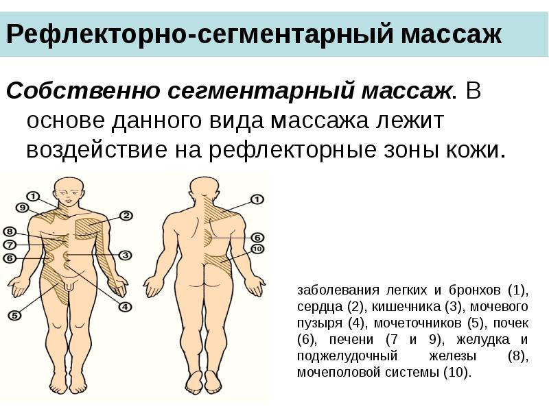 Рефлекторно-сегментарный массаж
Собственно сегментарный массаж. В основе данного вида массажа Рефлекторно-сегментарный массаж
Собственно сегментарный массаж. В основе данного вида массажа