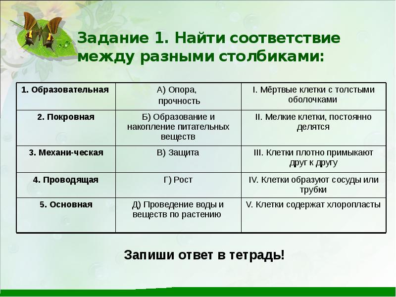 Установите соответствие между столбиками. Найти соответствие между разными столбиками. Найди соответствие между разными столбиками. Найти соответствие между разными столбиками ответ. Найти соответствия между разными столбиками биология.