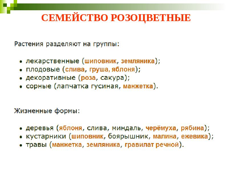 СЕМЕЙСТВО РОЗОЦВЕТНЫЕ Многообразие и жизненные формы:
