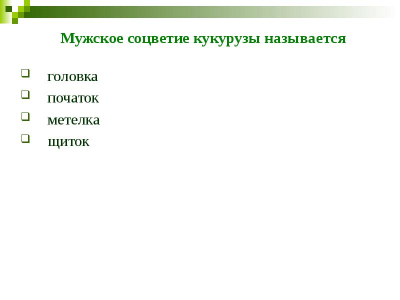 Мужское соцветие кукурузы называется головка початок метелка  щиток
