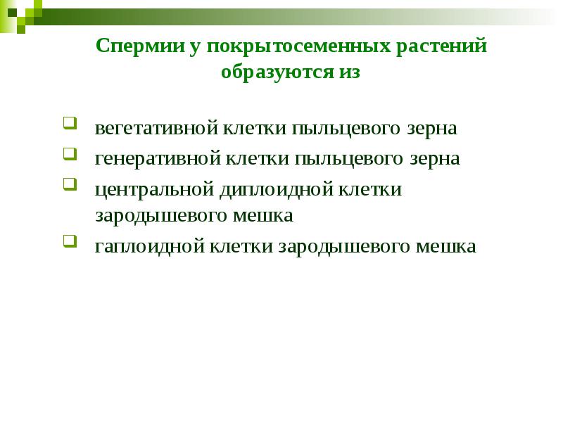 Спермии у покрытосеменных растений образуются из вегетативной клетки пыльцевого зерна 