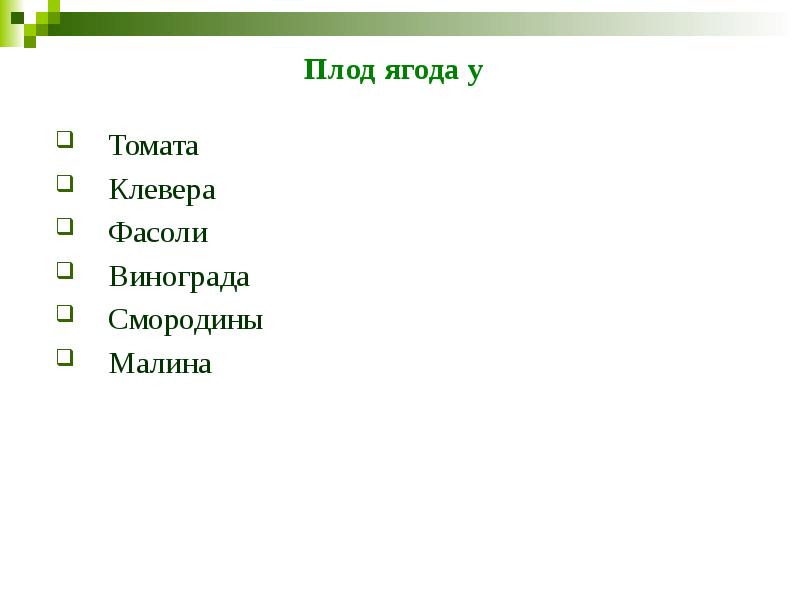 Плод ягода у Томата Клевера Фасоли Винограда Смородины Малина