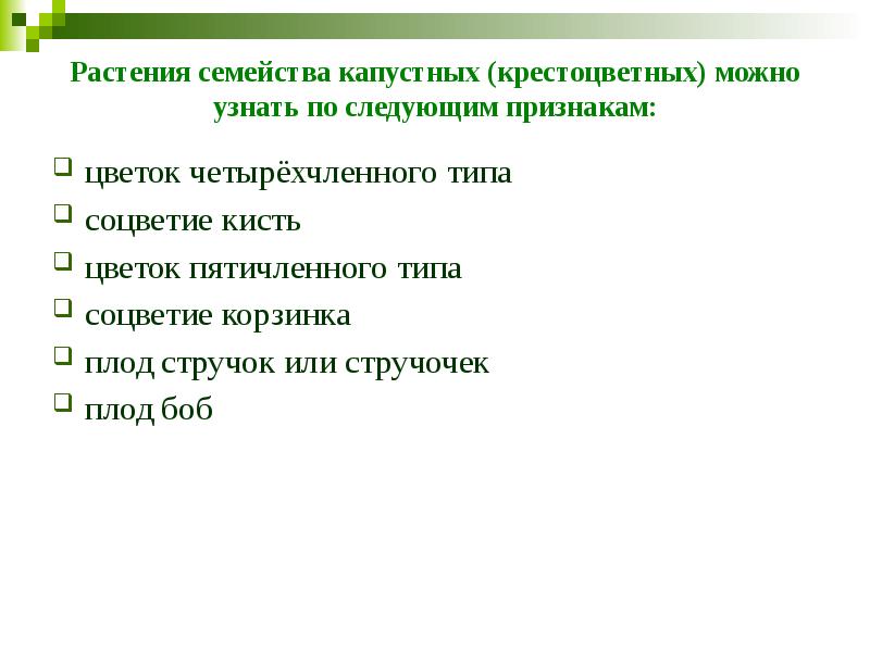 Растения семейства капустных (крестоцветных) можно узнать по следующим признакам: цветок четырёхчленного