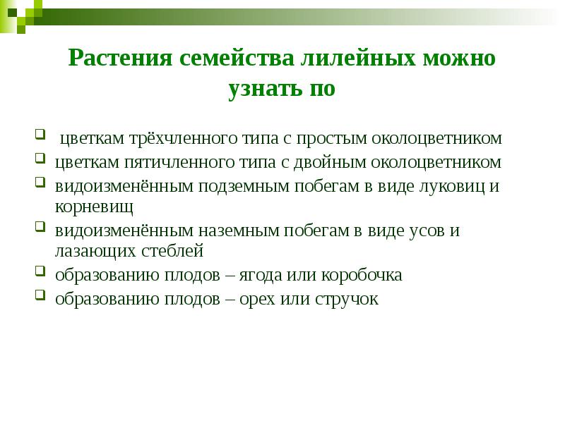 Растения семейства лилейных можно узнать по &nbsp;цветкам трёхчленного типа с простым
