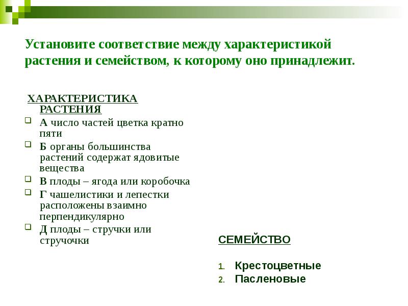 Установите соответствие между характеристикой растения и семейством, к которому оно принадлежит.&nbsp;