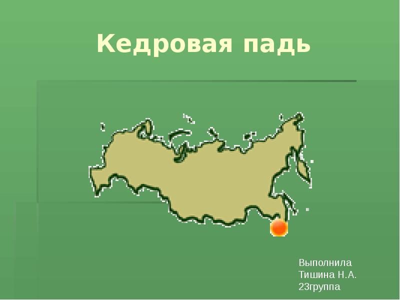 Кедровая падь карта