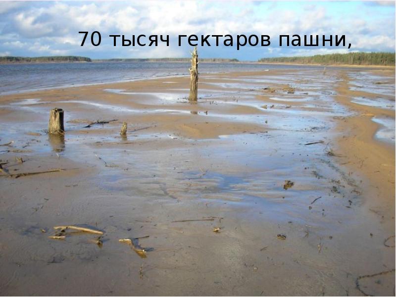 Рыбинское водохранилище презентация