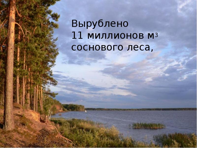 Рыбинское водохранилище презентация