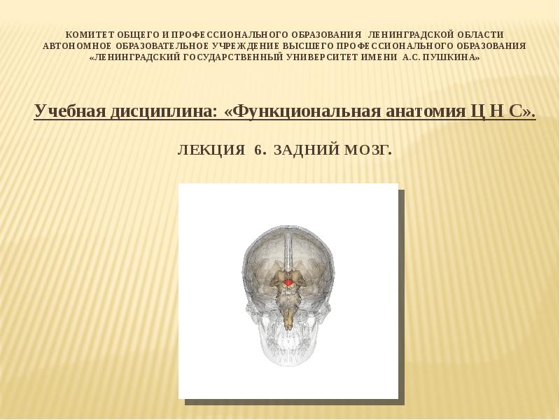 Комитет общего и профессионального образования