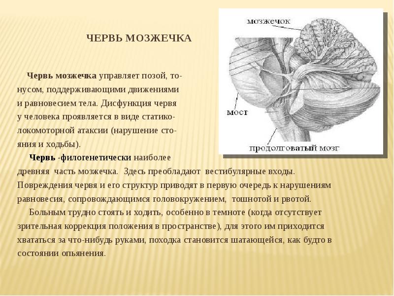 Комитет общего и профессионального образования