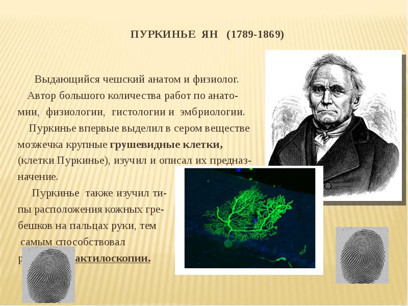 Комитет общего и профессионального образования