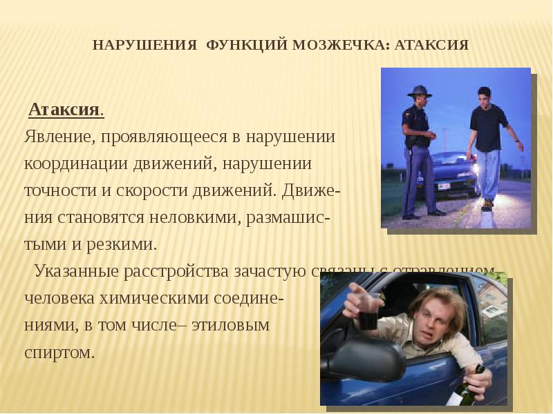 Комитет общего и профессионального образования