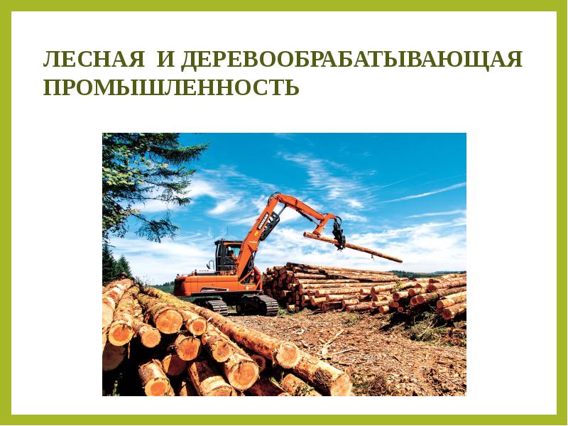 Экономика в лесной отрасли