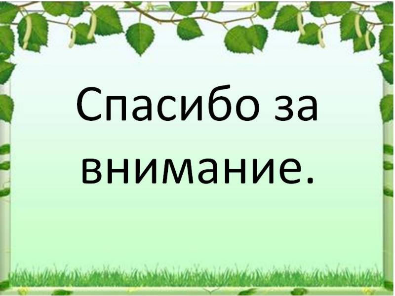 Спасибо за внимание для проекта по биологии