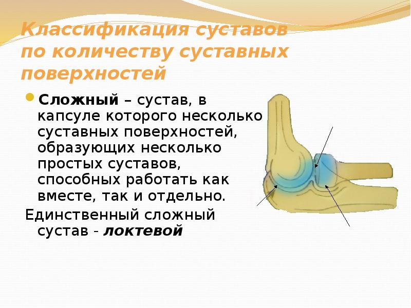 Сложный сустав. Локтевой сустав классификация суставов. Классификация суставов презентация. Сложные суставы. Локтевой сустав по классификации является.