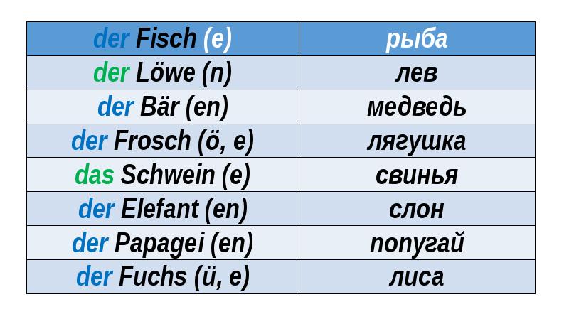 Tiere презентация 5 класс горизонты