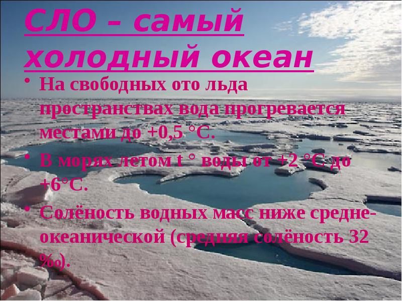 Самый холодный океан