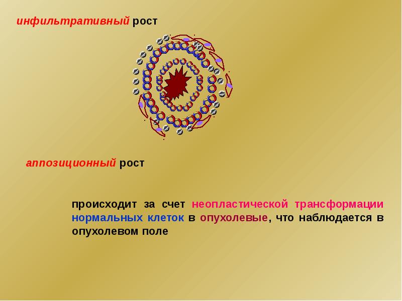 Аппозиционный рост хряща. Интерстициальный рост хряща. Интерстициальный и аппозиционный рост хряща. Аппозиционный рост и интерстициальный рост хряща. Механизм интерстициального и аппозиционного роста хряща.