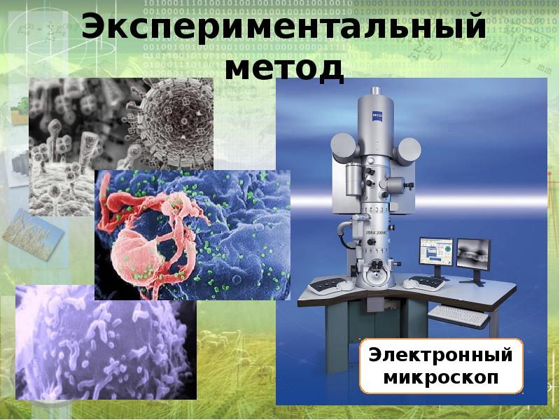 5 класс методы исследования в биологии презентация