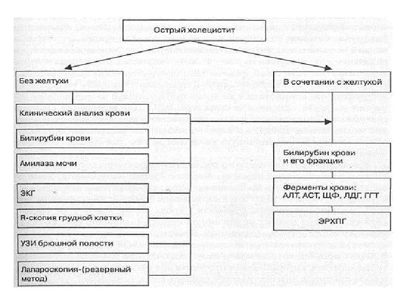 Холецистит острый схема лечения