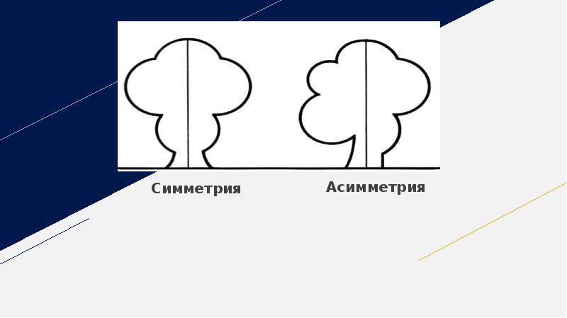 Презентация на тему асимметрия