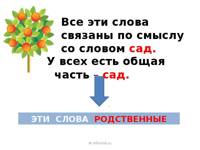 Однокоренные к слову сад. Родственные слова сад. Предложение со словом сад. Слова со словом сад. Родственные слова к слову сад.