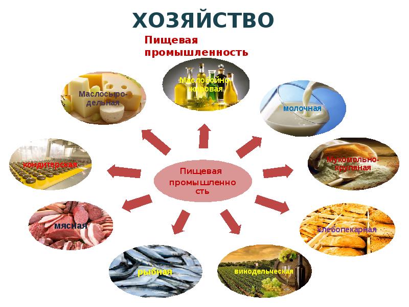 Продукты проекта по географии