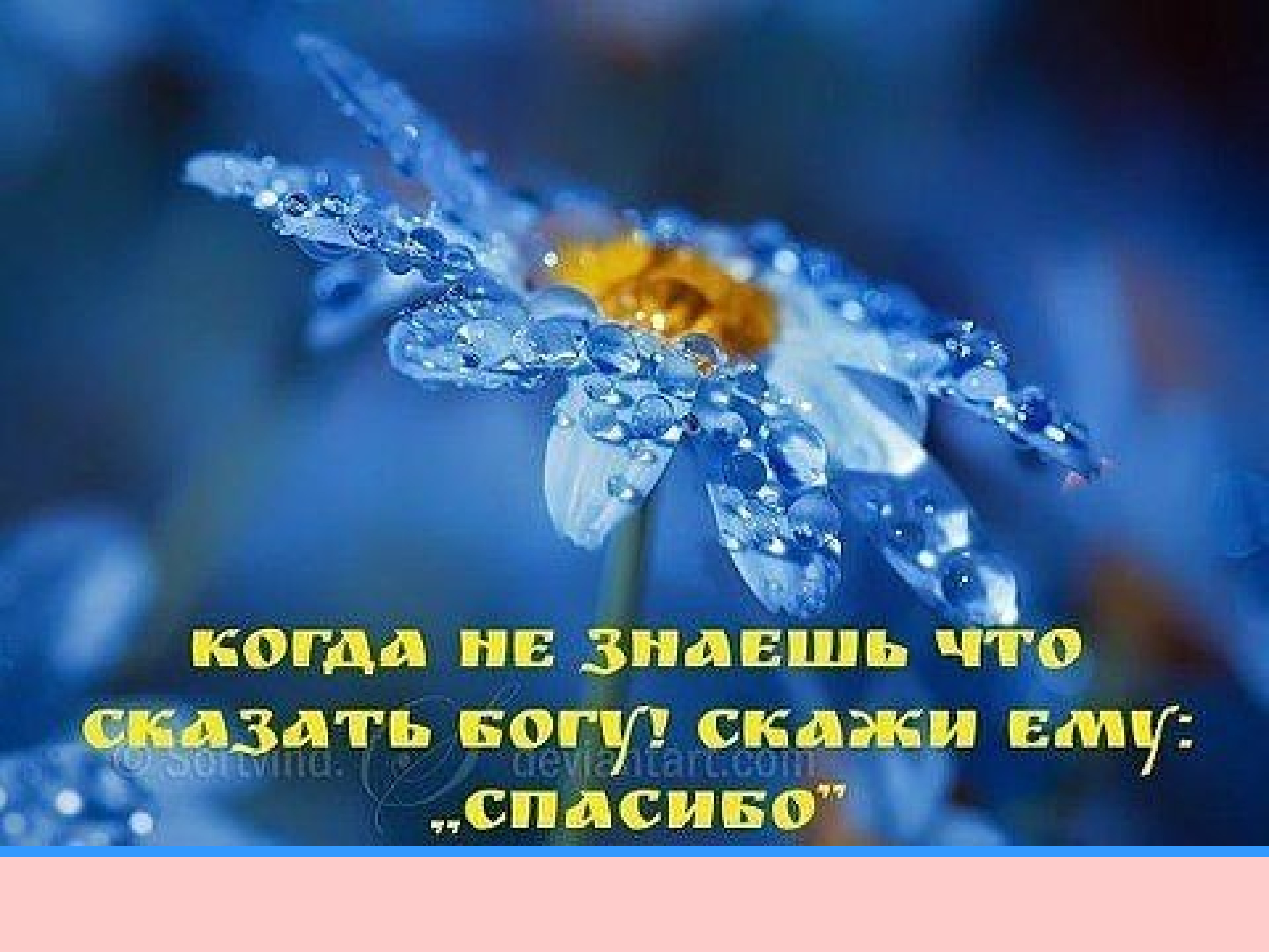 Надписи с благословением. Благодарность Богу. Открытки с благодарностью и благословением. Христианские открытки Благодарения,благословения. Открытки с благодарностью и благословением Божиим.