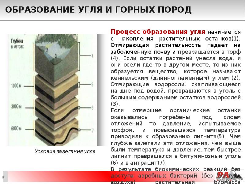 Образование угля и горных пород