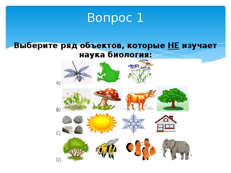 Выбери и рядом. Выбери ряд объектов которые не изучает наука биология. Найти объекты рядом. Выбери ряд изучающего человека. Выбери ряд.