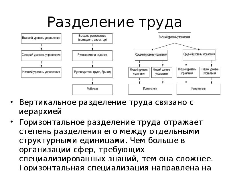 Разделение труда на предприятии