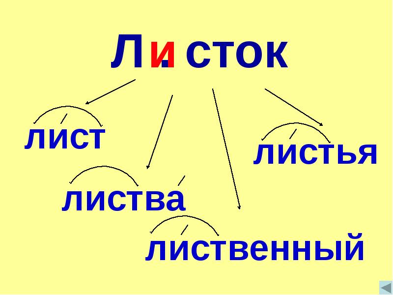 Рисунок корень слова